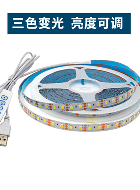 5VUSB双色温灯带5mm8mm灯带led灯条低压贴片自粘软条灯镜灯补光灯