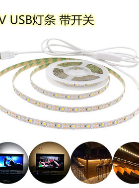 灯带led灯条自粘5V低压超亮带USB接口摆地摊装饰可充电宝式线条