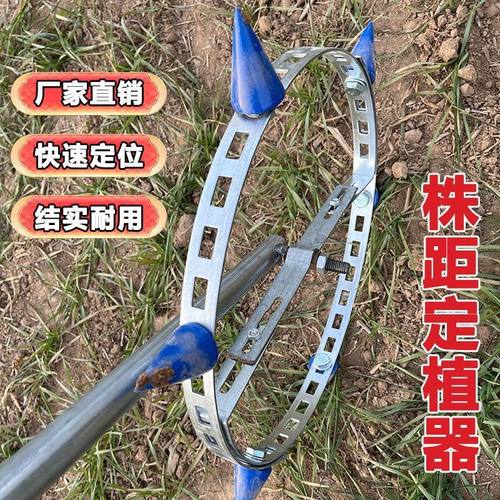 定植株距神器农用西瓜蔬菜育苗
