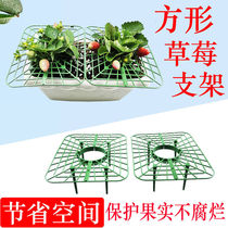草莓支架阳台盆栽支架防腐烂园艺固定拼接支撑架种植水果绿植托盘