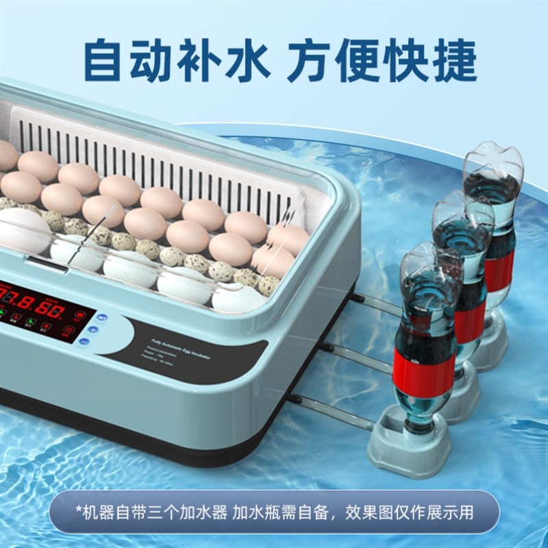 速发孵型鸡的机器家用芦丁鸡童珠鸟鹌鹑鹦鹉鸽子小小孵蛋器儿珍孵