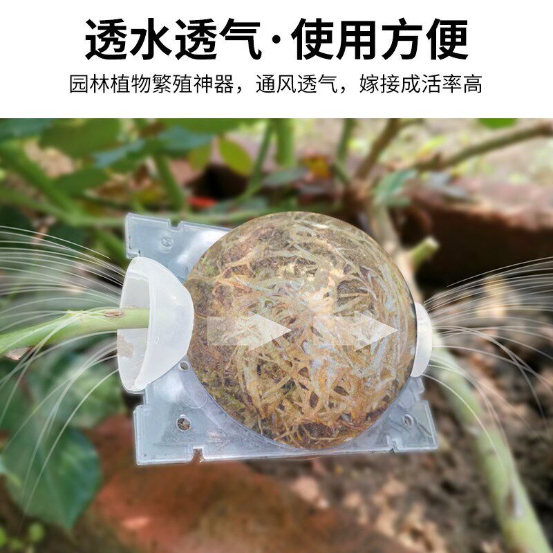 速发植物高压繁殖盒扦插嫁接高压包生根盒控根器枝繁殖球生根繁殖