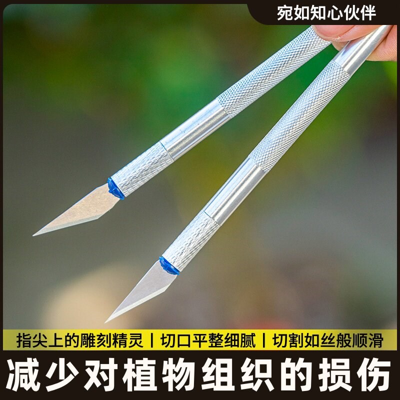 速发多肉砍头刀嫁接专用刀多肉修剪工具修根刀果树嫁接扦插多肉专
