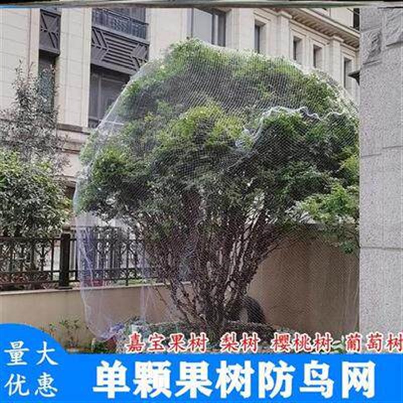 速发嘉宝果树网罩防鸟罩树葡萄网果树防鸟罩水果防护网水果树樱桃