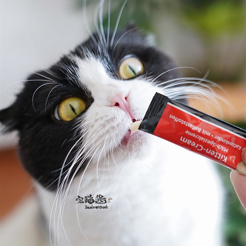 速发宅猫酱 迈阿咪迈阿密营养奶膏猫咪挑嘴小零食拌饭奶昔15克/条