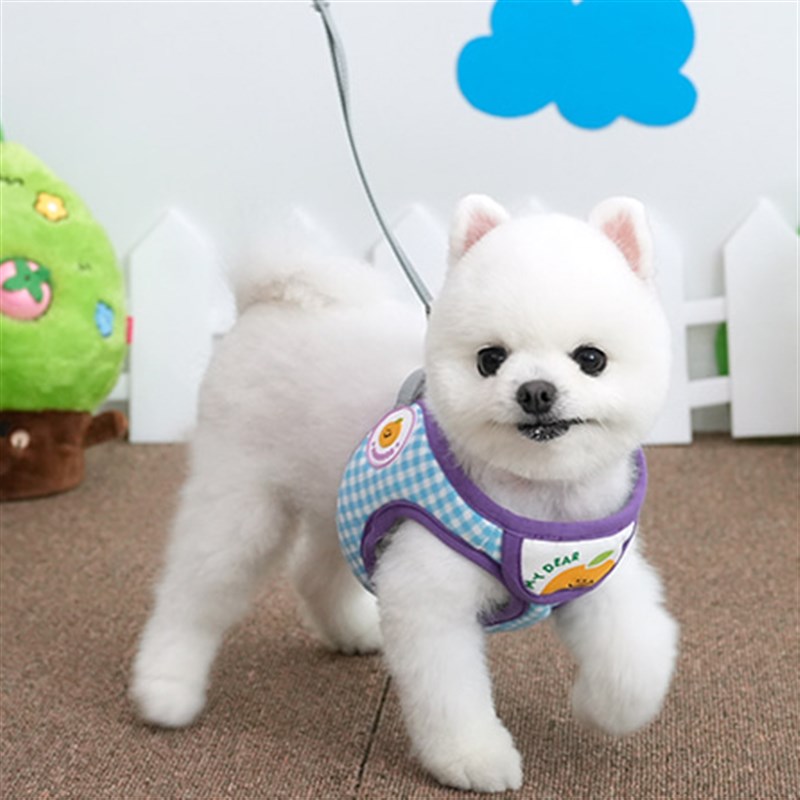 现货速发mory Petpisdog水果围兜格子透气胸背套装