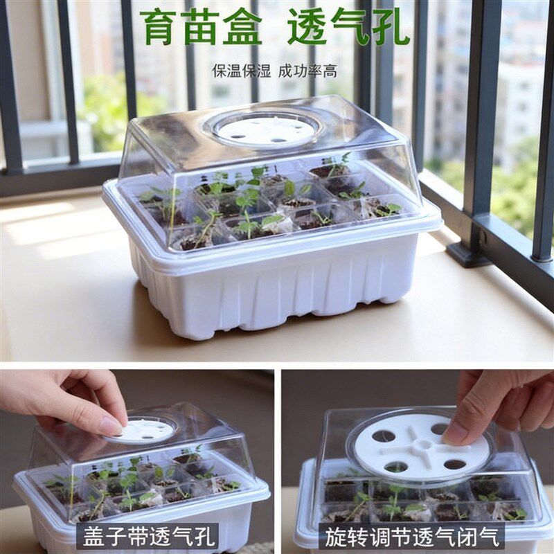 速发多肉叶插育苗盆三件套培养播种盒保湿温育苗盘12孔塑料育苗盒