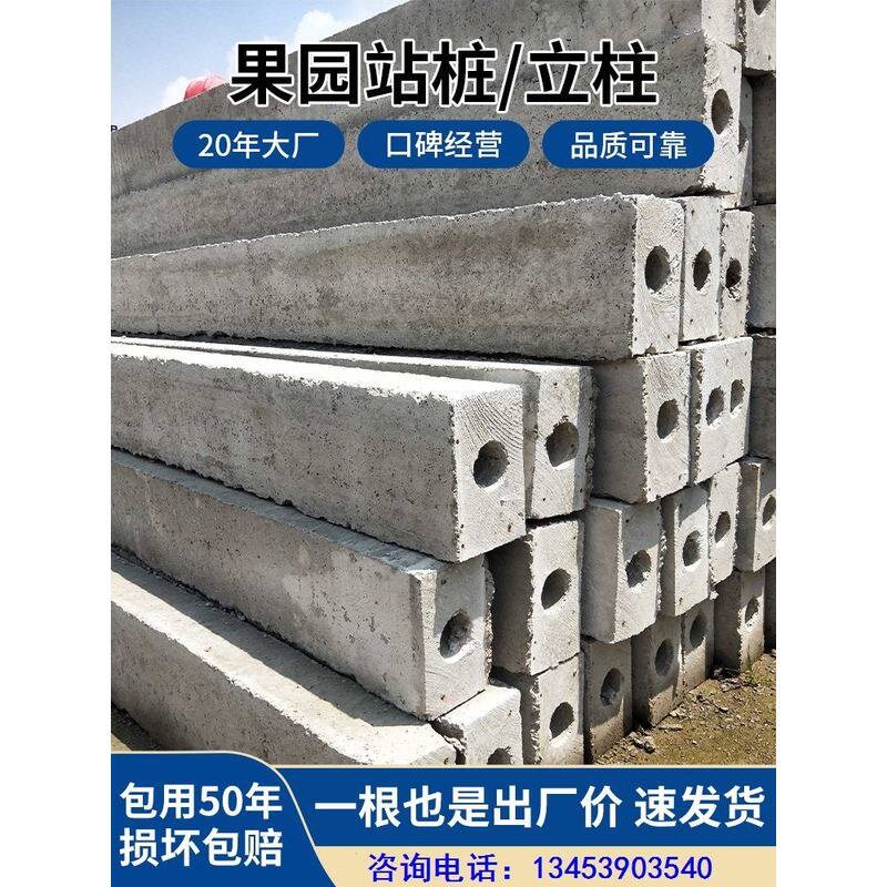 速发钢筋混凝土葡萄水泥立柱葡萄架 瓜蒌架水泥柱立桩蔬菜架直销