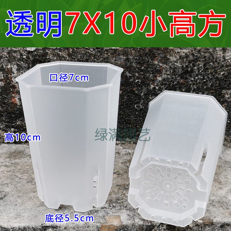 速发八角透气大小方盆育苗硬杯透明塑料扦插花盆多肉蝴蝶兰花观查