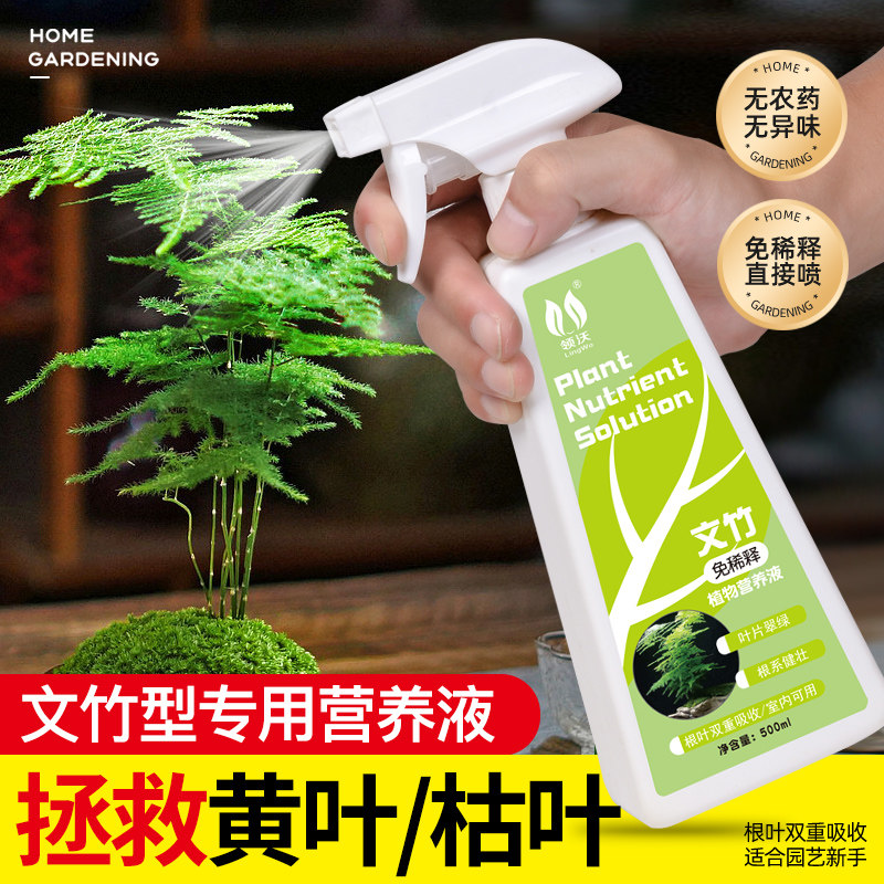 速发免稀释文竹专用花营养液家用盆栽养花物植通用肥肥料水土培肥