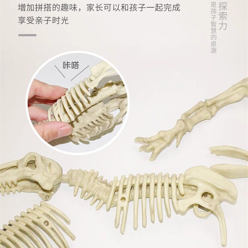 速发儿童考古发掘手工生日礼物男孩和孩恐龙组装教育玩具