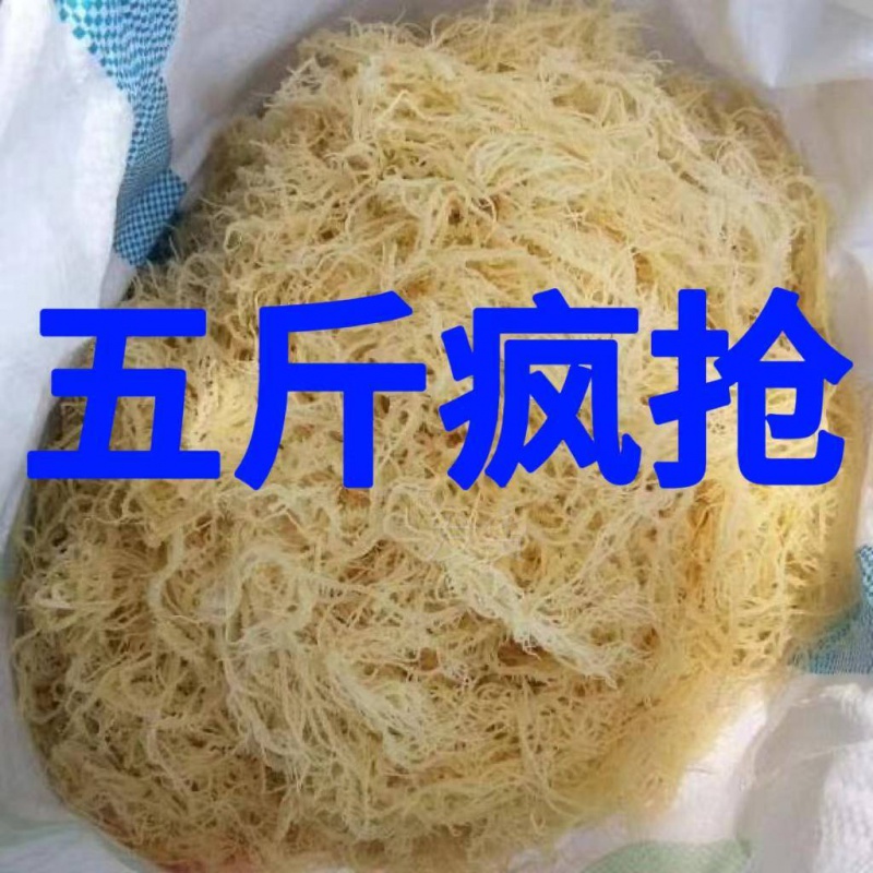 盐渍龙须菜500克海石花石花菜鹿角菜海新鲜海藻凉拌菜素菜