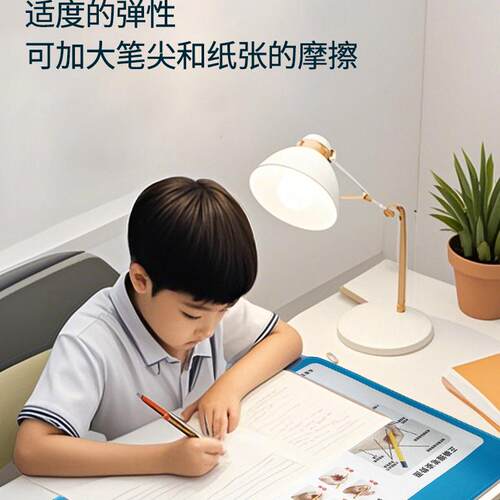 宁志书法规范三姿书写垫