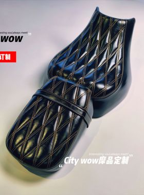 适用豪爵TR300座椅坐垫套tr300plus座椅套改装专车专用可乳胶变软