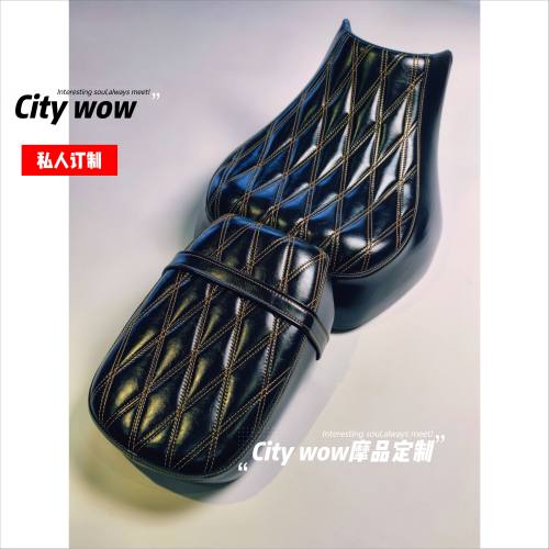适用豪爵TR300座椅坐垫套tr300plus座椅套改装专车专用可乳胶变软