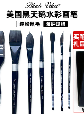 美国进口BlackVelvet黑天鹅水彩笔纯松鼠毛圆平头斜峰艺术家旅行水彩颜料画笔6号8号绘画毛笔手绘勾线笔3000S
