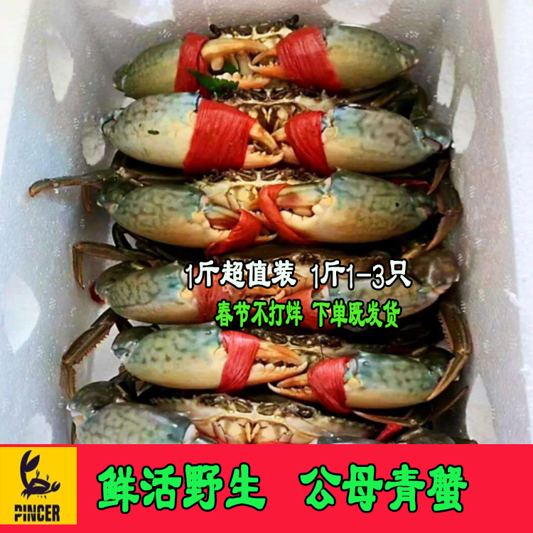 鲜活大青蟹(1斤1-2只)海蟹肉蟹活蟹鲜活野生公母蟹(满2斤包邮)