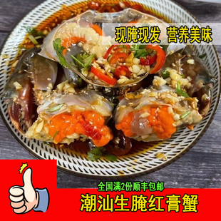 潮汕生腌红膏蟹  腌制水产品生吃青蟹海鲜螃蟹海蟹（700g）