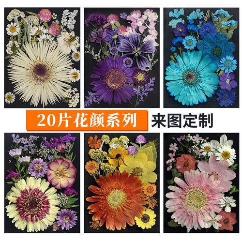 干花压花花瓣手工diy相框滴胶押花台灯花材植物标本装饰画材料包