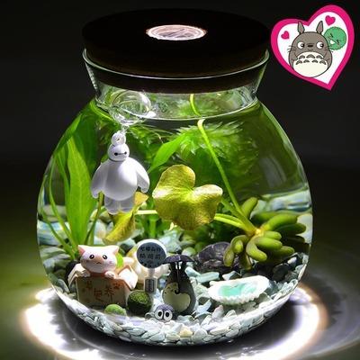 苔藓植物微景观生态瓶 盆景桌面创意DIY绿植摆件 斗鱼瓶 圆形带灯