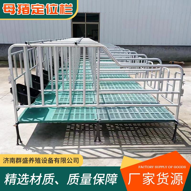 母猪定位栏限位栏猪圈栏位养猪用复合漏粪板母猪产床保育半限位栏