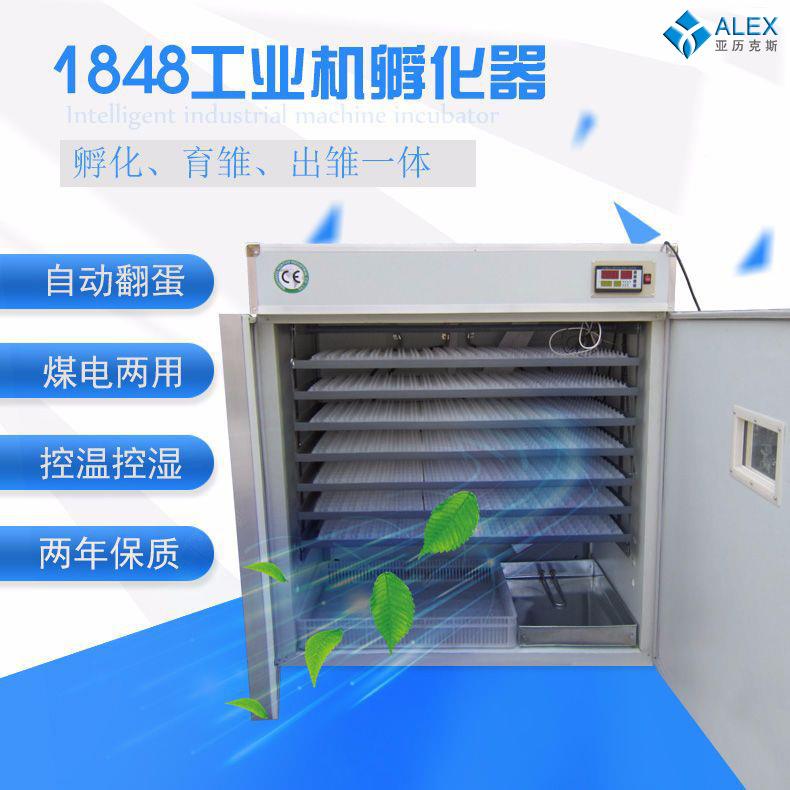 全自动1848枚工业孵化机 一键孵化小鸡孵化设备 鸡鸭鹅恒温孵蛋器