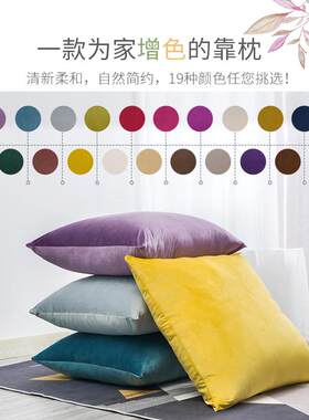 沙发大抱枕80x80大码枕头号靠枕床上靠垫套罩不含芯特大王金