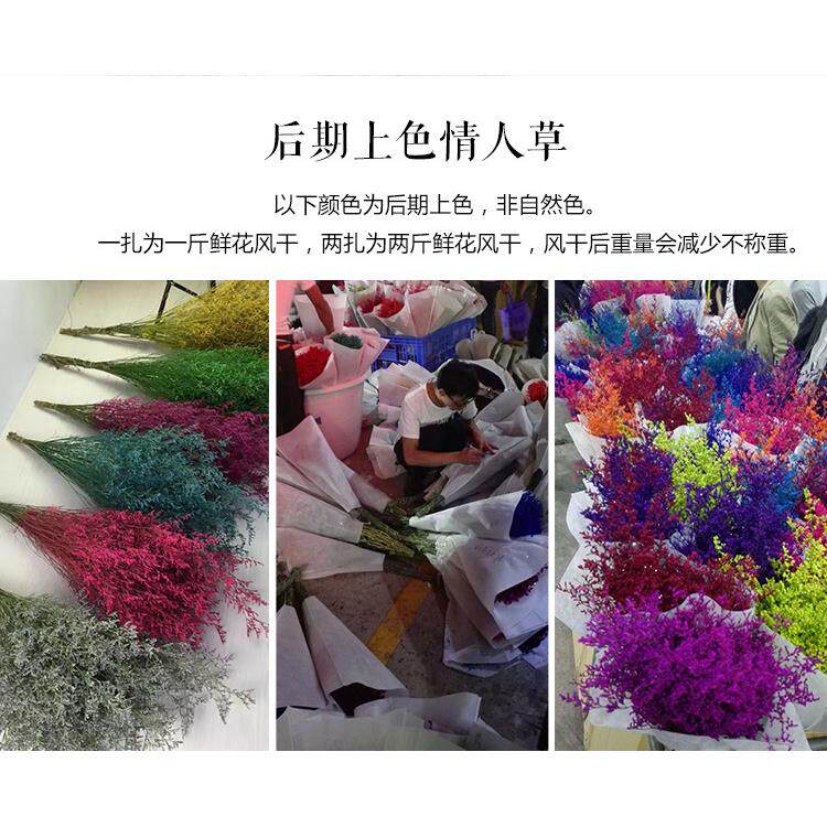 彩色情人草干花云南干花基地直发花店用花家居店铺装饰花diy花材