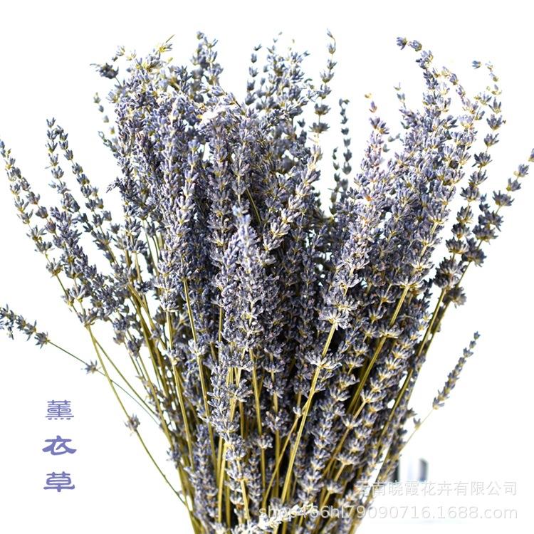 永生花薰衣草干花花束薰衣草干花客厅家居装饰真花干花花束