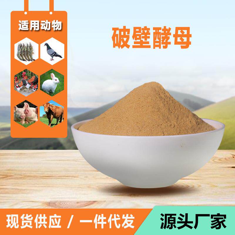 海参对虾酵母饲料原料破壁酵母粉破壁啤酒酵母