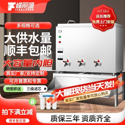 峰丽源大型饮水机商用开水器电热