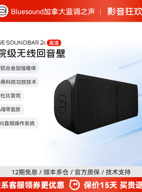 BLUESOUND SOUNDBAR 2i回音壁电视音箱客厅杜比家庭影院