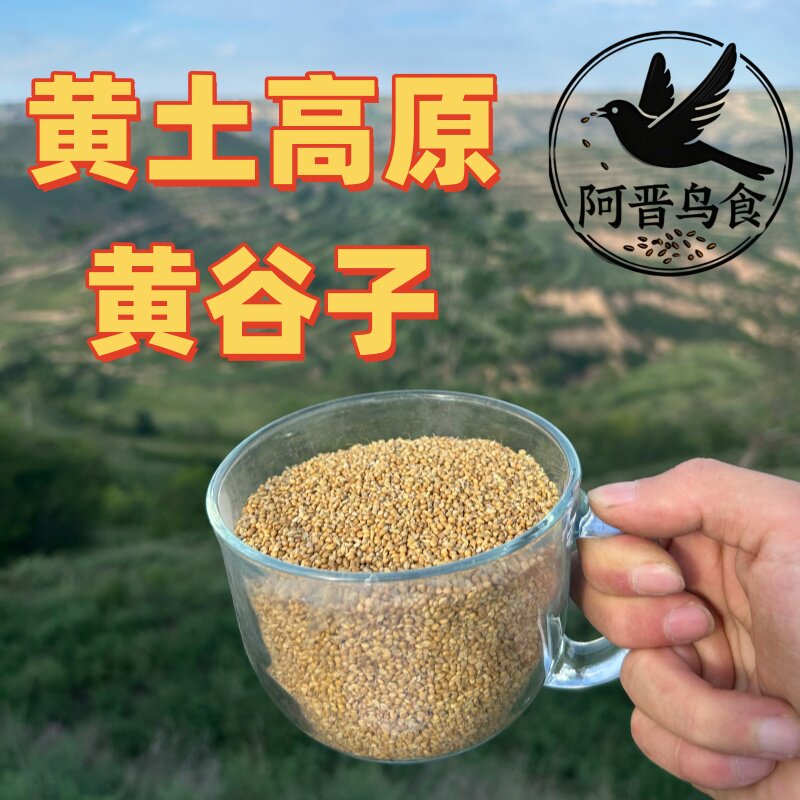 黄谷子带壳小米鹦鹉主食当季新鲜