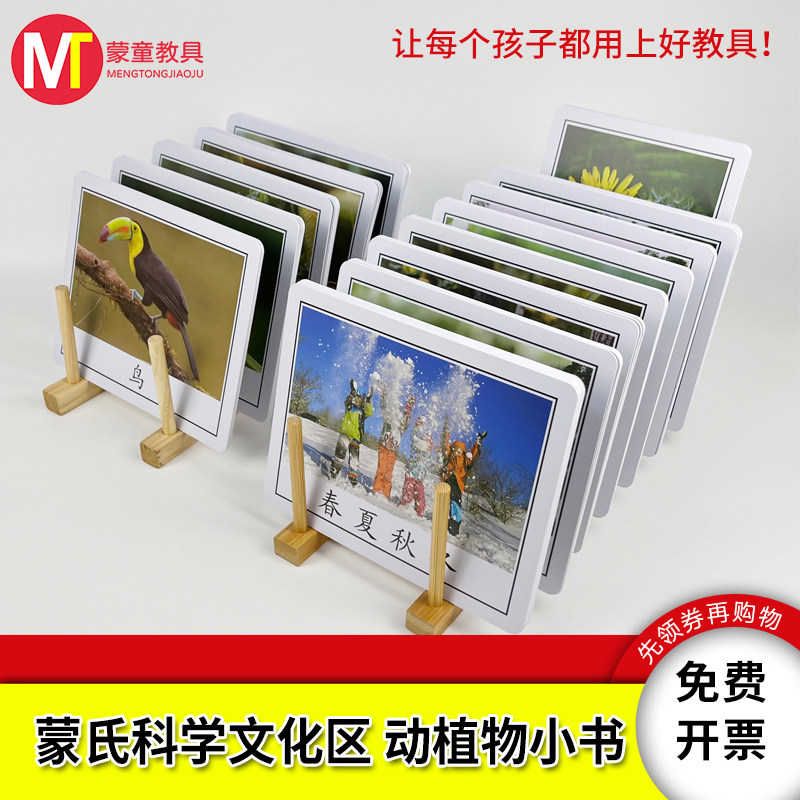 蒙特梭利科学文化教具动物植物定义小书PVC塑料卡片儿童认知卡