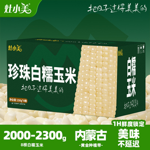 灶小美白糯玉米新鲜内蒙古早餐粗粮真空包装非即食粘黏苞米玉米棒