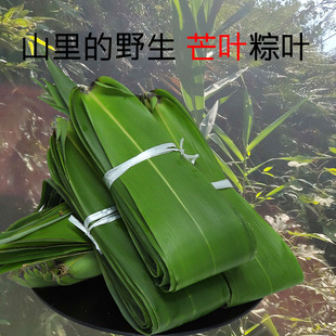 广西山区野生粽子叶现摘粽叶清香芒叶树叶新鲜叶子非芦苇叶包邮