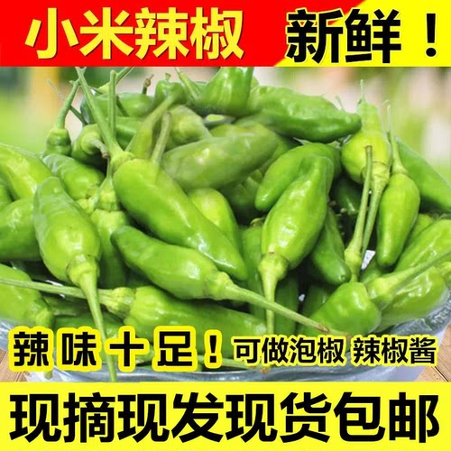 新鲜小米辣椒野山椒指天椒朝天椒泡椒广西现摘现发包邮0.5-10斤