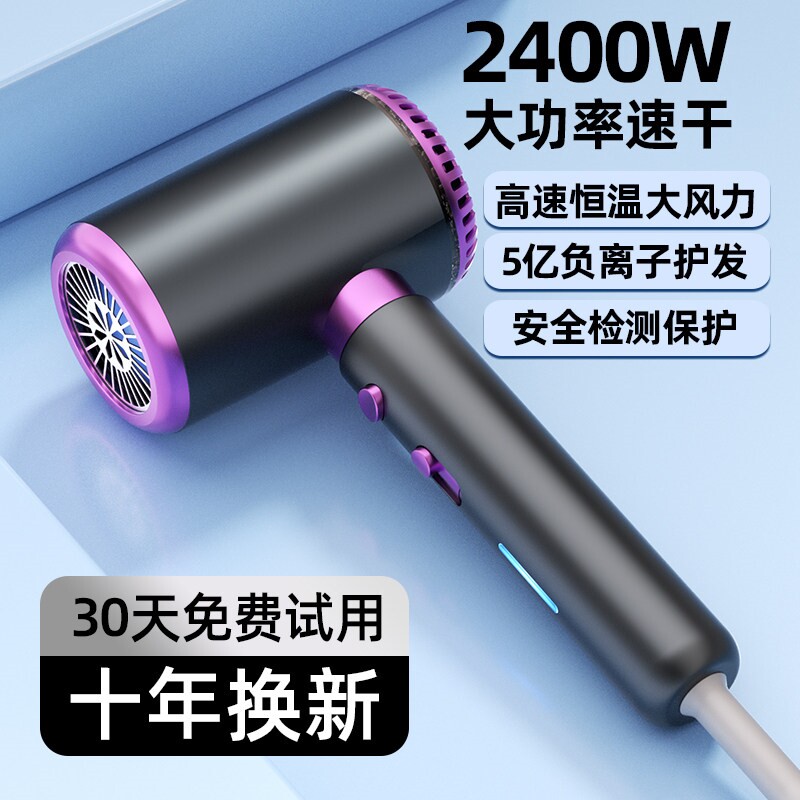 德国电吹风机家用发廊理发店专用子护发静音大功率大风力速干负离