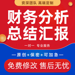 财务总结汇报PPT代做企业年度分析报告财务报表公司资产负债表制
