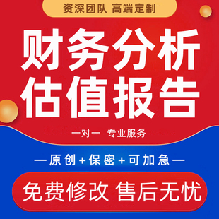 财务分析报表企业财务尽调年度经营数据分析上市公司估值报告代写
