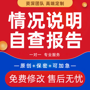情况说明项目进展状况说明书变更经营工程整改管理自纠自查报告撰