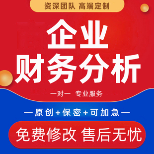 财务报表分析投入产出盈利报告代写企业年度总结汇报资产负债表制