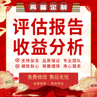 代写评估报告投资商业价值收益数据分析环评研究项目风险融资估值