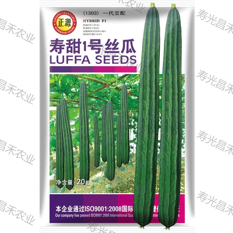 寿甜1号棱角丝瓜良种脆甜不空心