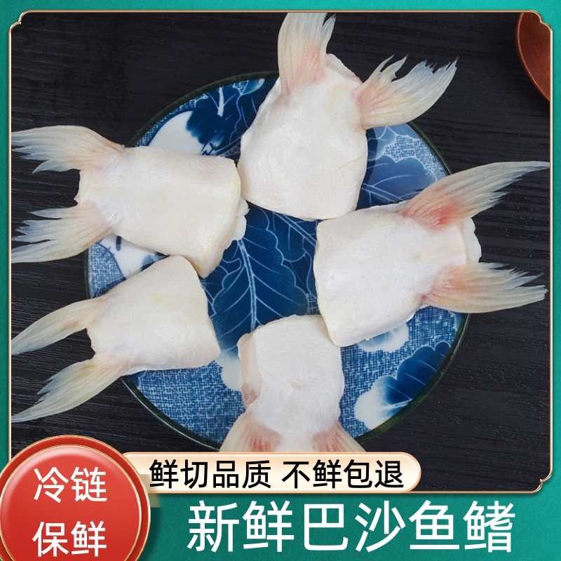 新鲜巴沙鱼鳍鮰鱼鳍鱼翅鱼下巴