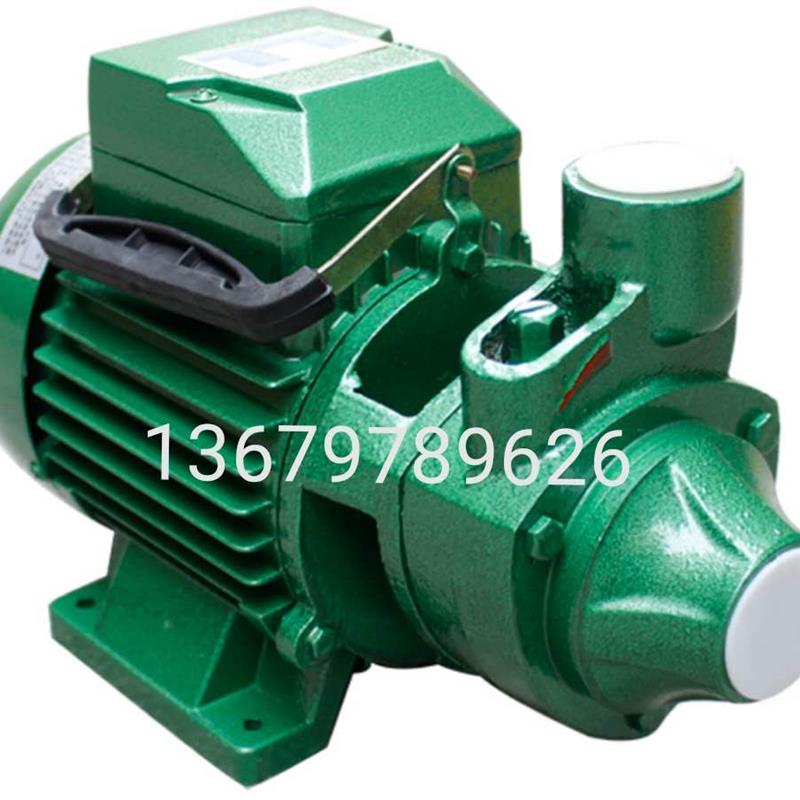 新款广一泵1DB-65清水泵220V  家用增压泵  广州一泵1DB-45清包邮