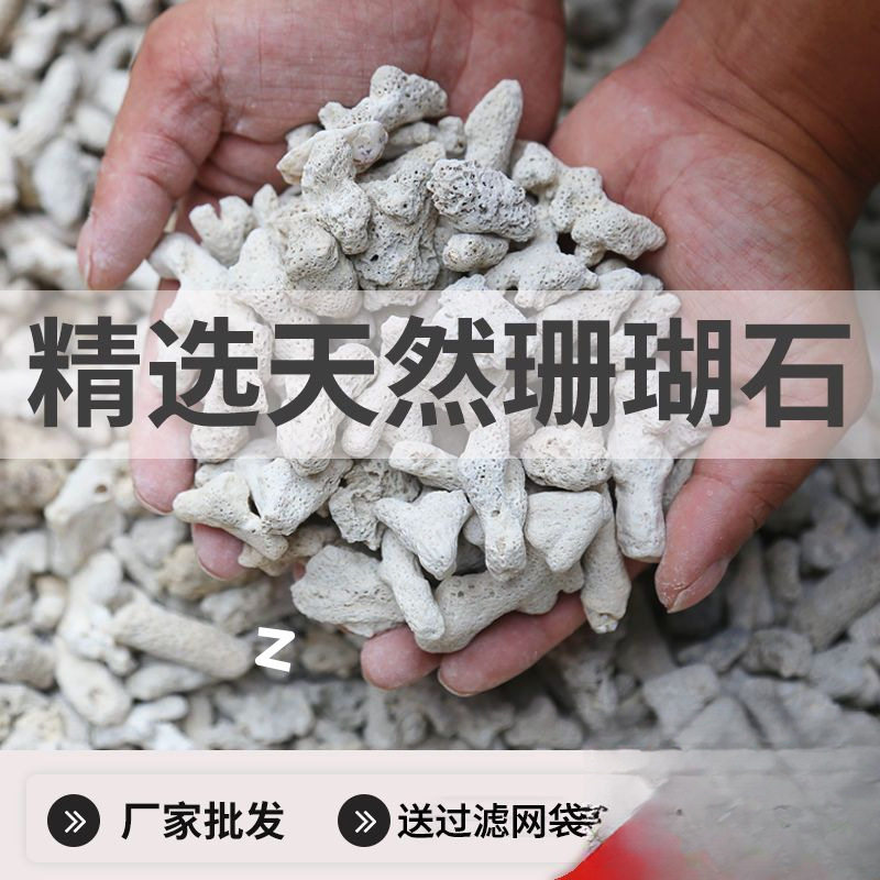 珊瑚石过滤净水滤材海鲜池海鲜缸用珊瑚砂鱼池珊瑚骨全套材料,宠物/宠物食品及用品,过滤材料,淘宝优惠券,粉丝福利购,淘宝优惠卷