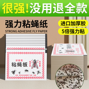 苍蝇贴强力粘苍蝇纸粘蝇板药沾蚊杀手捕捉器灭蝇子神器一扫光家用