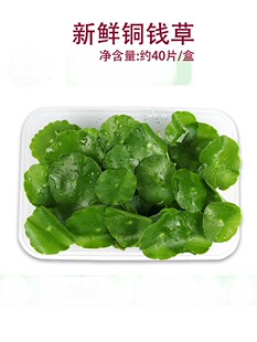 新鲜旱金莲叶 日料西餐装饰摆盘 冷菜摆盘装饰 40片/盒 非铜钱草