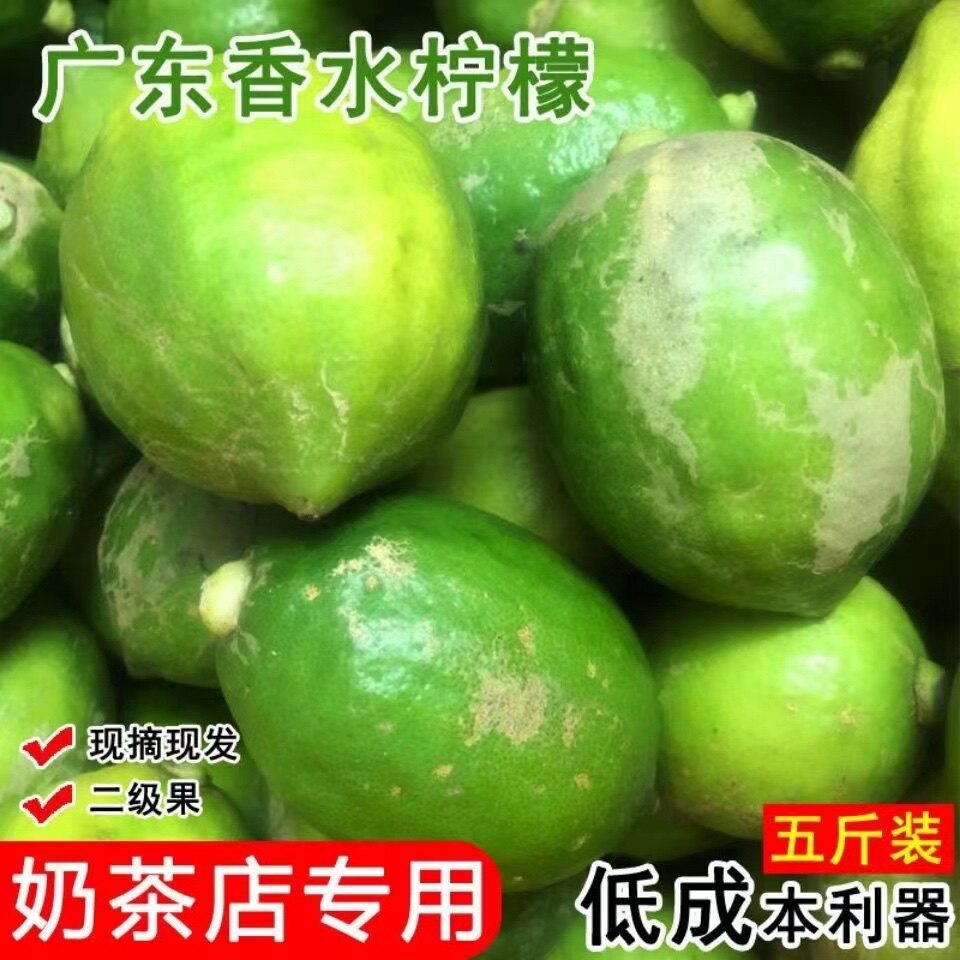广东香水柠檬自家果场二级果当天柠檬